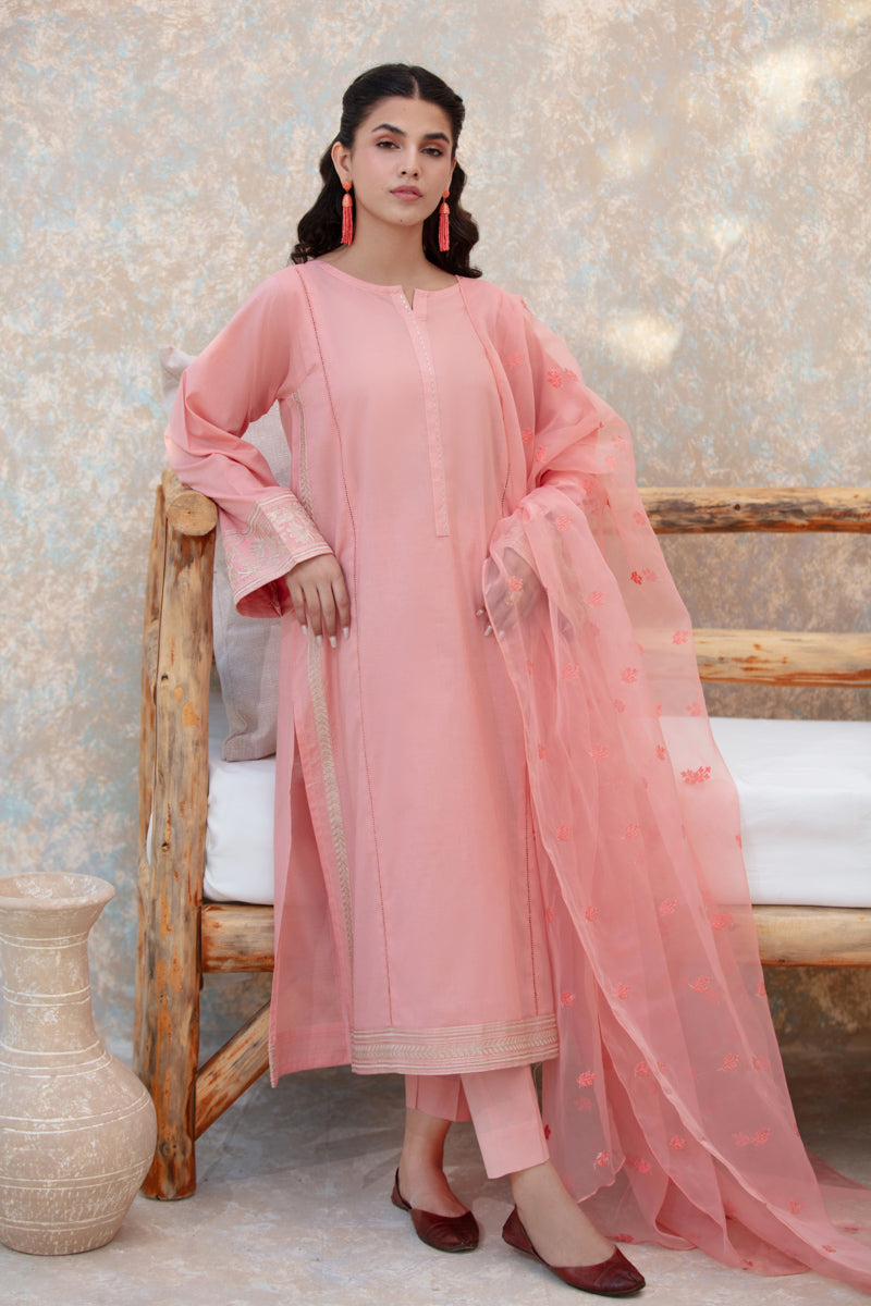 Light Pink Embroidered 2pc