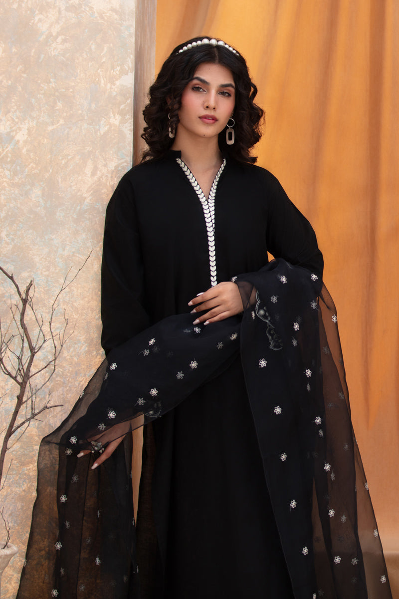 Black Embroidered 3pc Suit