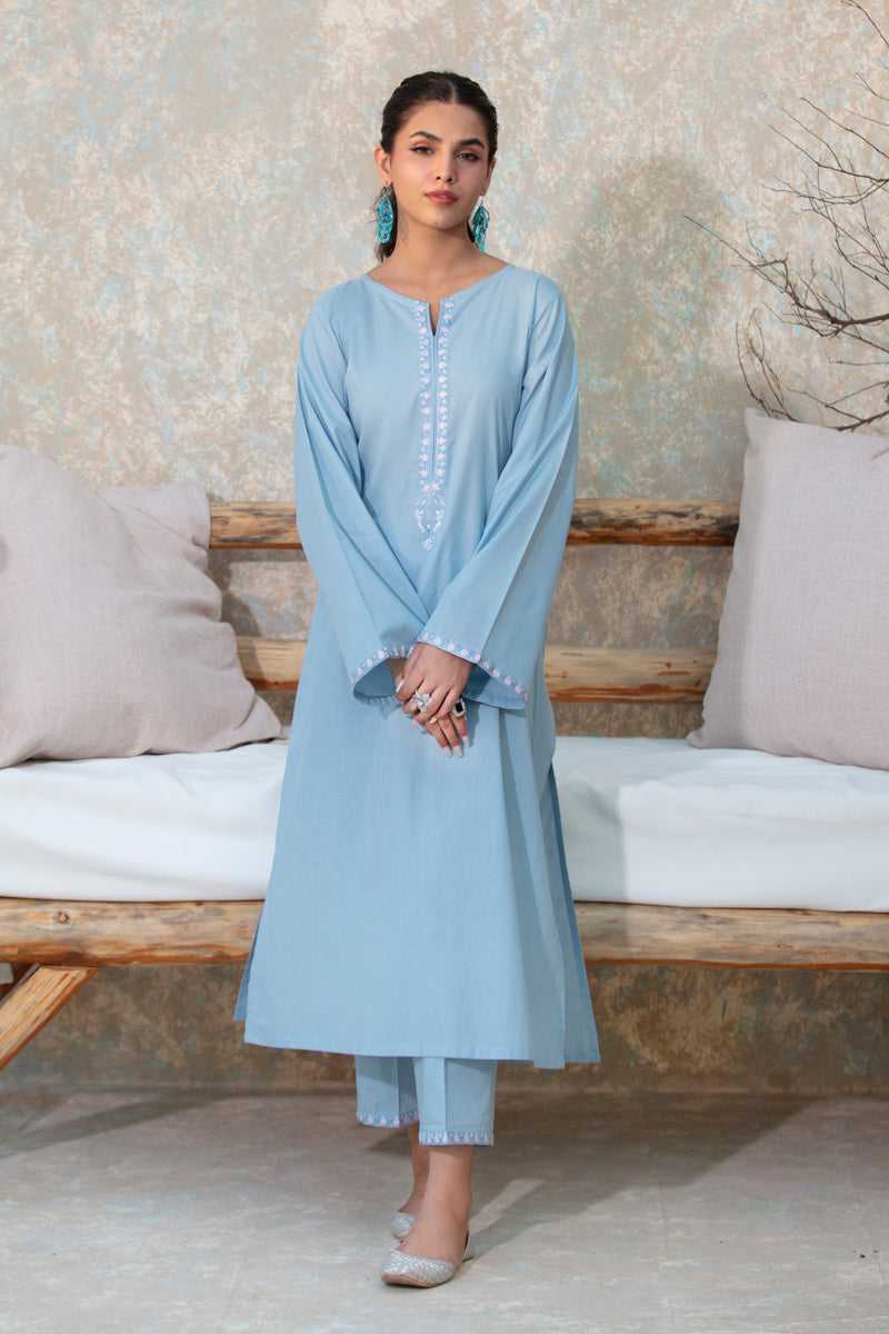 Light Blue Embroidered 2pc Suit