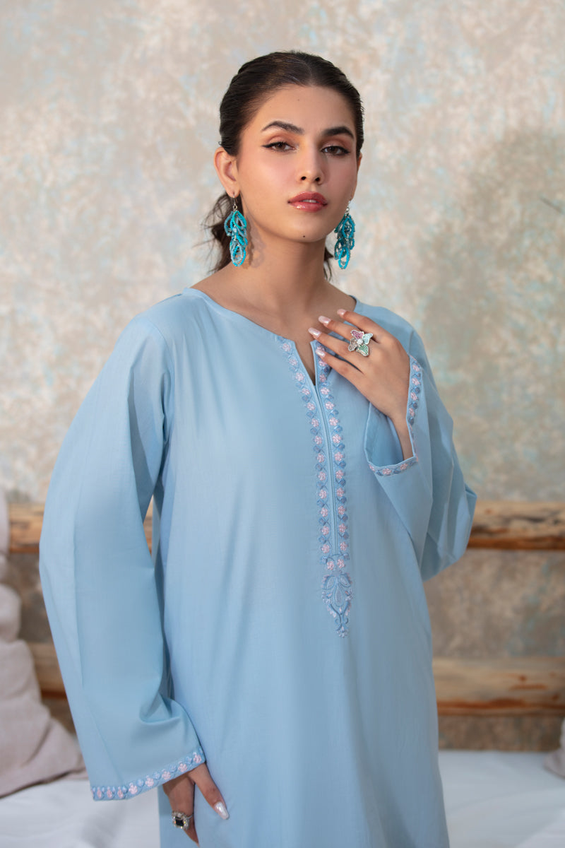 Light Blue Embroidered 2pc Suit