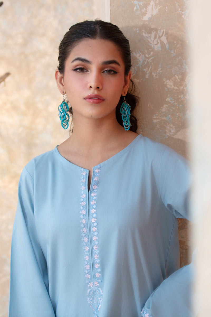 Light Blue Embroidered 2pc Suit